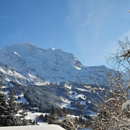 Apartment Bergfrieden Wengen Exterior foto