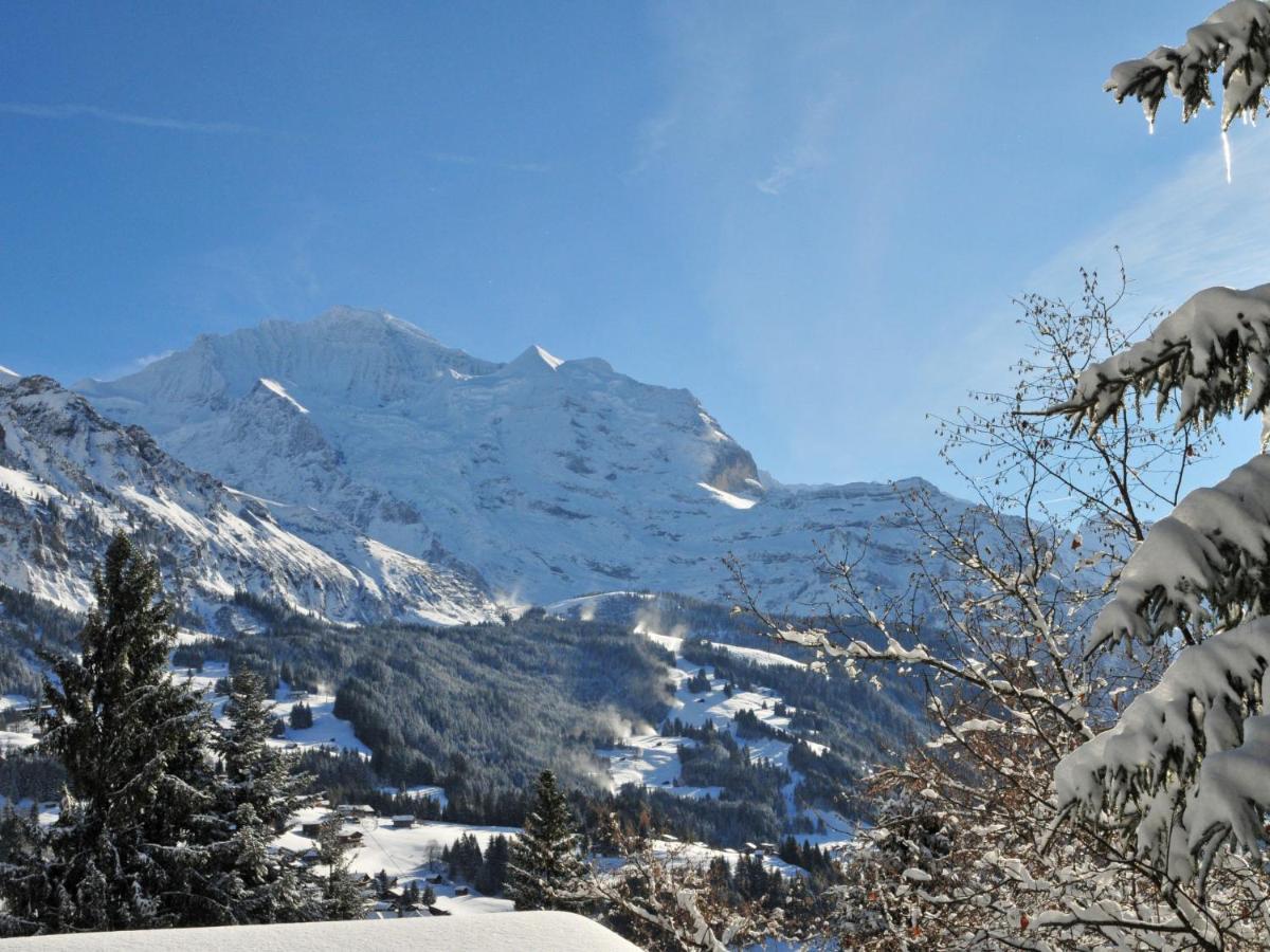 Apartment Bergfrieden Wengen Exterior foto